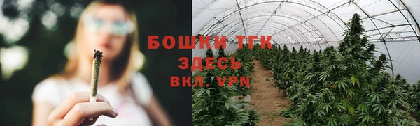 тгк Березники
