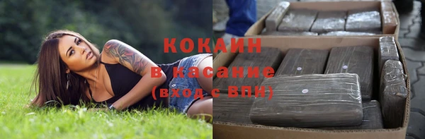 ПСИЛОЦИБИНОВЫЕ ГРИБЫ Алексин